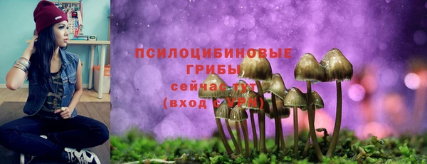 первитин Абаза