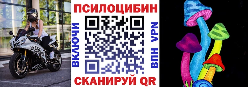 Псилоцибиновые грибы Cubensis  Нижневартовск 