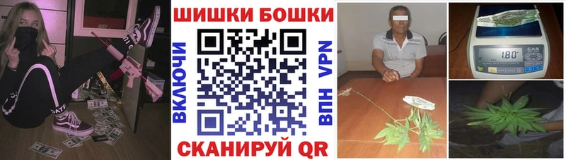 хочу Нижневартовск Бошки марихуана индика